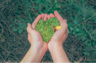 Mains tenant délicatement un cœur de mousse verte et de feuilles, symbolisant le soin de la nature et la conscience environnementale